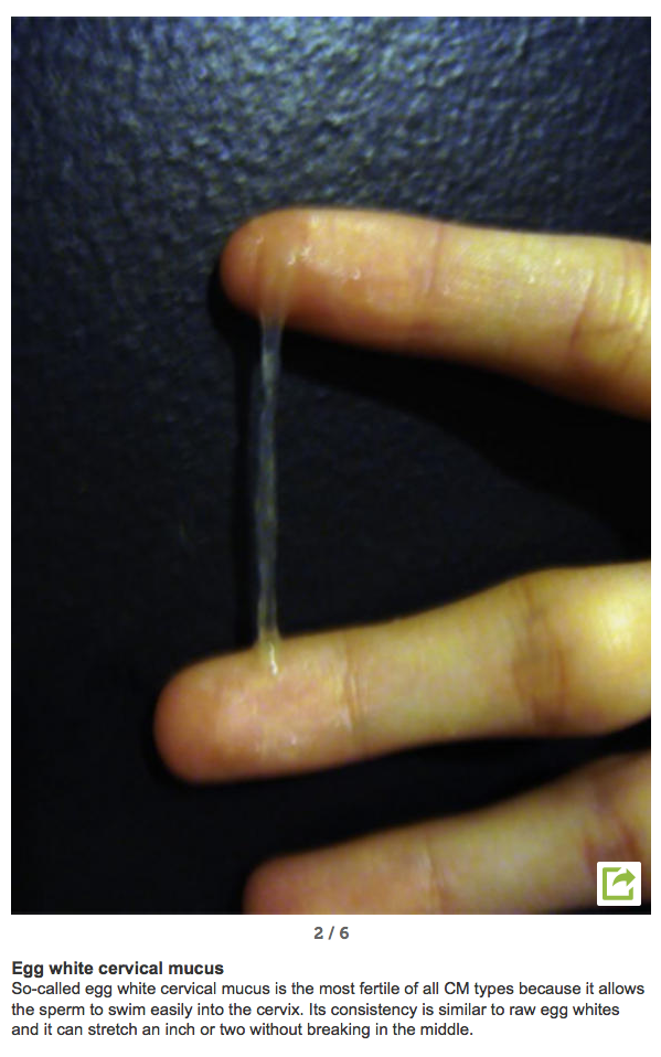 Swallowtail reccomend Sperm on finger